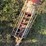 buhler-farm-king-846-image-8