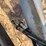 leon-425-image-11