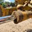 2002-caterpillar-12h-image-108