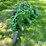 john-deere-555-image-6