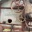 mccormick-deering-no-22-s150d-threshing-machine-image-13
