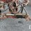 international-720-image-3