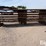 6-bar-16'-variable-rod-standing-fences-image-8