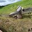 corn-crib-drag-elevator-image-8