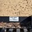dirt-dog-llr72-image-7