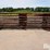 6-bar-16'-variable-rod-standing-fences-image-4