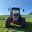 mccormick-mtx135-image-2