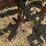eddins-fr3-21-image-41