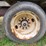 2016-kbh-fertilizer-tender-trailer---isuzu-diesel,-hydraulic-system,-rear-discharge-image-32