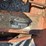 new-idea-272-image-4