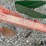 pattee-plow-co-one-row-cultivator-image-15