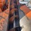 bear-cat-950-image-4