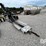 adams-field-loader-conveyor-(gp11155,-unit-35374)-image-4