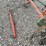 pattee-plow-co-one-row-cultivator-image-14