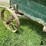 steel-wheel-flare-box-image-17