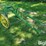 john-deere-pull-type-single-shank-ripper-image-3