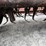 new-holland-38-image-4