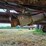 2016-kbh-fertilizer-tender-trailer---isuzu-diesel,-hydraulic-system,-rear-discharge-image-34