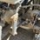 2009-freightliner-truck-(jn2397,-unit-277091)-image-85