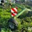 krone-swadro-810-image-8