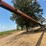 batco-1585-image-33