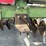 john-deere-230-image-5