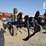 dmi-ecolo-tiger-527-image-8