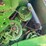 2002-john-deere-9550-image-91