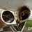 brent-weigh-wagon-(pz13757)-image-28