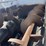 harsh-303-image-20