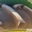 1937-john-deere-a-image-17