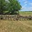 john-deere-a-image-5