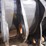 case-84242192-bucket-image-14