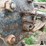 economy-12-hp-hit-&-miss-engine-image-20