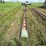 corn-crib-drag-elevator-image-2