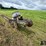 corn-crib-drag-elevator-image-7