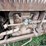 mccormick-deering-10-20-antique-tractor-image-19