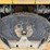 2019-tico-spotter-image-14