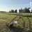 new-holland-40-image-2