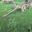 wooden-wheel-running-gear-image-1