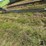 corn-crib-drag-elevator-image-4
