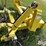 degelman-14-1-image-11