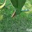 john-deere-pull-type-single-shank-ripper-image-10