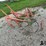 pattee-plow-co-one-row-cultivator-image-4