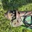 1990-john-deere-335-image-27