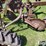john-deere-44-image-13