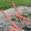 pattee-plow-co-one-row-cultivator-image-9