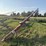 buhler-farm-king-846-image-2