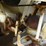 willmar-600-image-32