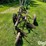 john-deere-44-image-6